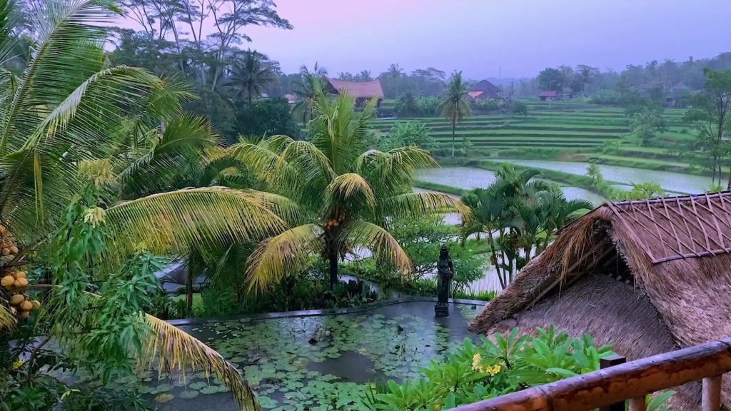 tropica rain in bali