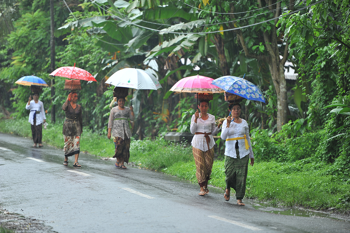 bali rain season